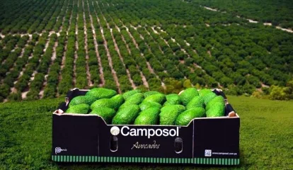 La agroindustrial peruana Camposol firma convenio con la UCV