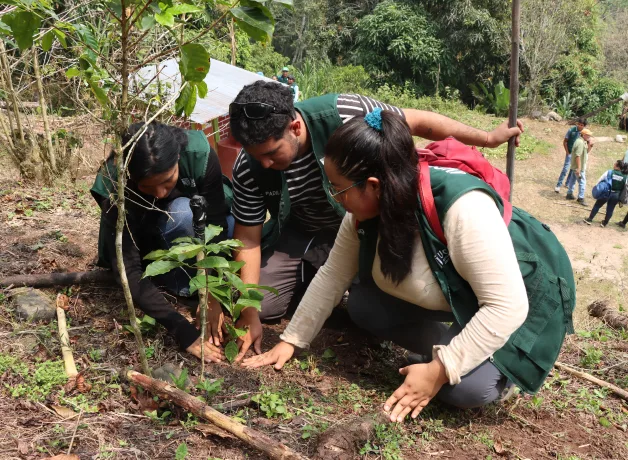 ucv-moyobamba-campana-de-reforestacion