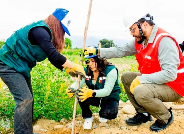 vallejianos-lideran-jornada-de-reforestacion-moche vallejianos-lideran-jornada-de-reforestacion-moche